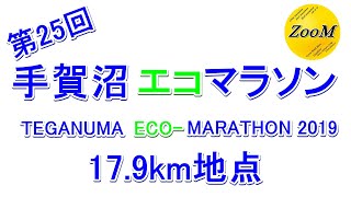 第25回 手賀沼エコマラソン 17.9km地点②