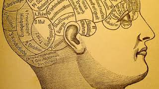 List of cognitive science topics | Wikipedia audio article