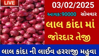 Aaj na bajar bhav mahuva onion rate 03/02/2025 લાલ કાંદા માં જોરદાર તેજી સાથે લાઈવ હરરાજી મહુવા