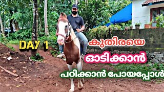 🐎🇦🇹അങ്ങനെ ഞാനും 💥കുതിര സവാരി പഠിക്കാൻ തിരുമാനിച്ചു /How to ride A indian breed horse🔥🔥