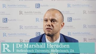 EuroPCR 2019: Renal denervation atrial fibrillation in hypertensive heart disease -Marshall Heradien