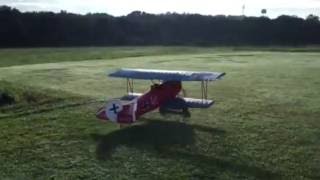 Lee Richter's D VII at 316 WARBIRD INVASION 2016