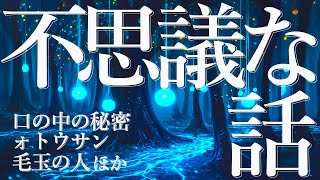 【朗読】不思議な話 ４話詰め合わせ 【女性朗読/睡眠/2ch/奇々怪々】