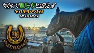 自宅で馬たちと迎える初日の出 2025／New Year of 2025 Vol.111【Rock Stream Farm】＃引退競走馬 #馬と迎えるお正月　＃動物と暮らす