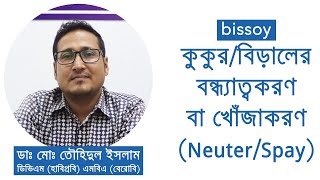 কুকুর/ বিড়ালের বন্ধ্যাত্বকরণ বা খোঁজাকরণ (Neuter/Spay) কি?