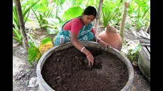 Preparing Vermicompost | केंचुवा खाद बनाने की विधि | गोबर की शक्तिशाली खाद कैसे बनाये Preparing Vermicompost | केंचुवा खाद बनाने की विधि | गोबर की शक्तिशाली खाद कैसे बनाये