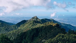 大雪山 林中孤島與那座塔 鳶嘴稍來 登山 Vlog