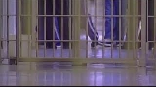 Who qualifies for automatic crime expungement in Michigan?