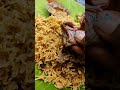 nair mess at chepauk explored mutton biriyani and vanjaram fry 90skid explorer