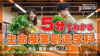 新潟薬科大学 生命産業創造学科（文系）