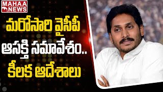 మరోసారి వైసీపీ ఆసక్తి సమావేశం..కీలక ఆదేశాలు | YCP Meeting | Mahaa News