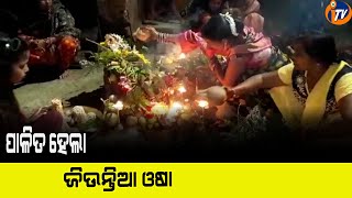 Palita hela Jiuntia Osa ||ପାଳିତ ହେଲା ଜିଉନ୍ତିଆ ଓଷା|| Itv Odisha