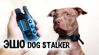 Электронный ошейник для дрессировки собак DOG-STALKER