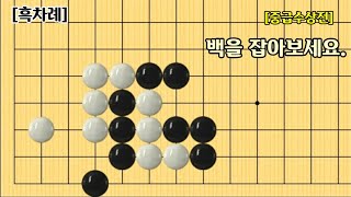 [수상전의기술#188] 중급수상전 / 백을 잡아보세요.