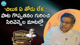 'చిలుక ఏ తోడు లేక  ' పాట గొప్పతనం గురించి సిరివెన్నెల మాటల్లో .. | Sirivennela | iDream Media