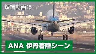 短編動画15「伊丹空港 ANA 着陸シーン（千里川土手）」／Airplane short video 15／2022.01.09