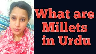 What are Millets? What are Millets in Urdu?Millets kia hain?