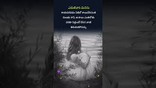 ఎదుటి వారి మనసు ??Telugu lyrics WhatsApp status videos #subscribe #like# comment # share