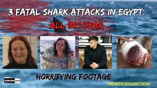Egypt's Most Shocking Shark Attack Stories: Eaten Alive and Escaping - FULL VIDEO