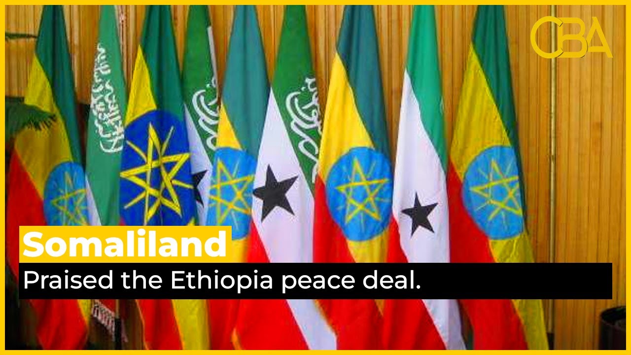 Somaliland Praised The Ethiopia Peace Deal - YouTube