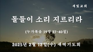 [새빛교회 새벽기도회] 돌들이 소리 지르리라 │ 누가복음 19장 37-40절 │ 김용일 담임목사 │ 2025년 2월 12일