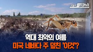 역대 최악의 여름, 미국 네바다 주 덮친 '이것'? / OBS 오늘의 월드뉴스