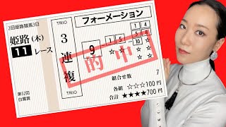 【地方競馬】白鷺賞2023衰えてもジンギから好配当待ち7点勝負【姫路競馬】