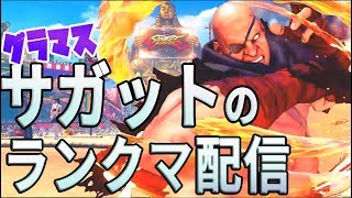 [スト5]うしこがサガットでアルマス目指す配信[スト5CE　PS4]