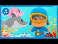 🦈 Family Shark | More Nursery Rhymes & Kids Songs - Pocoyo