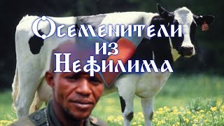 Обзор на Breeders of the Nephelym - Any% Speedrun [SsethTzeentach RUS VO]