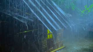 Adeus peso para dormir instantaneamente com sons de chuva e trovão no telhado de zinco à noite