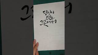 붓글씨 캘리그라피 Korean calligraphy 먹글씨 좋은글