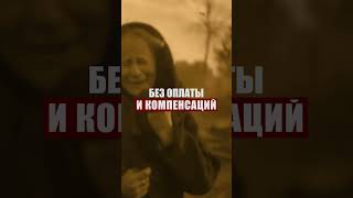 Герой Советского Союза  Елена Федоровна Колесова #россия #герои #звезда #сво #ссср #звездагероя