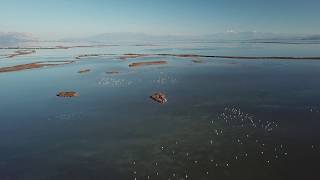 The wetlands of midwestern Greece near Louros from above