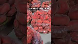 +998959515353+998908411161 ANJIR SHAFTOLİ KOCHATLARİ SOTUVDA #fruit #rekda #rekk