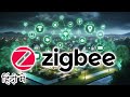 Zigbee Explained in HINDI {Computer Wednesday}