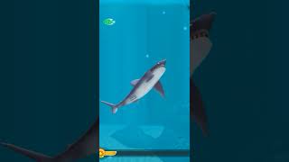 Sharkjira Attacking City | Hungry Shark Evolution#viral #games #gaming #hungryfish #hungry