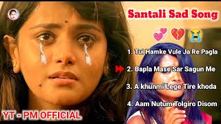 Santali Sad Song | Santali mp3 song | Tui hamke bhule ja | Aam nutum tolgiro | santali video 2025