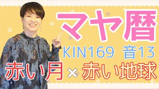 マヤ暦【KIN 169】赤い月 赤い地球 音13 開運ポイント