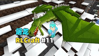 【Minecraft】RLCraft生存11：太不容易了，首次成功屠龙！