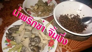 น้ำพริกข่า สูตรน้ำพริกข่า จิ้นนึ้ง BY ลุงเด่น