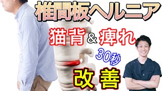 【埼玉 椎間板ヘルニア 治し方】猫背で足が痺れるならここ！30秒改善ストレッチ！　整体院羽翼‐TSUBASA‐