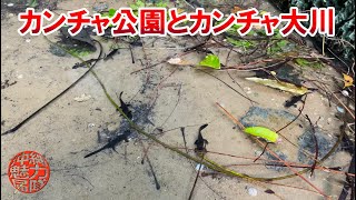 【南城市指定文化財】カンチャ公園の拝所とカンチャ大川の大自然！