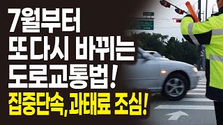 7월부터 바뀌는 과태료 부과되는 교통법규! 횡단보도 우회전, 어린이보호구역, 회전교차로 등 교통위반 집중단속! 모르면 벌금 냅니다!