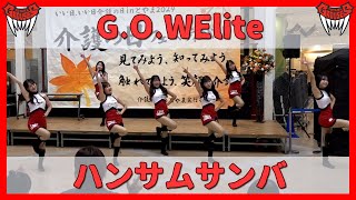 【ハンサムサンバ - チーム・ハンサム！】G.O.WElite 【富山グラウジーズ】