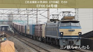 【定点撮影＠西浦和　EF66編】その6　EF66-54号機  ( 2011年)