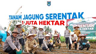 🌽 Payakumbuh Dukung Swasembada Pangan Nasional! 🌾