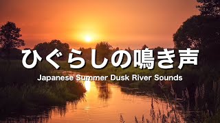 【自然音/癒しBGM】夏の夕暮れ ひぐらしの鳴き声と川のせせらぎ｜環境音・ASMR｜作業用BGM・勉強用BGM・睡眠用BGM