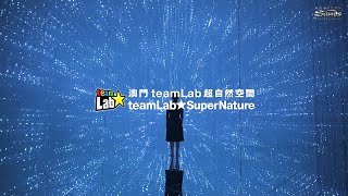 teamLab SuperNature Macao Soft Opening (TC/EN)