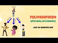 Polymorphism Finally Makes Sense After This (Beginners love this)